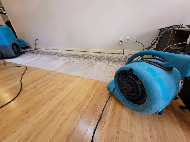 Reliable Basement Flood Cleanup contractor in Rochester, PA by Hirex Water Damage