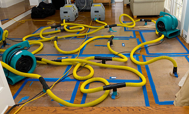 Professional Basement Flood Cleanup technician working in Rochester, PA